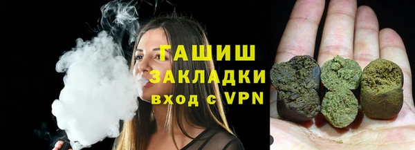 шишки Гусиноозёрск