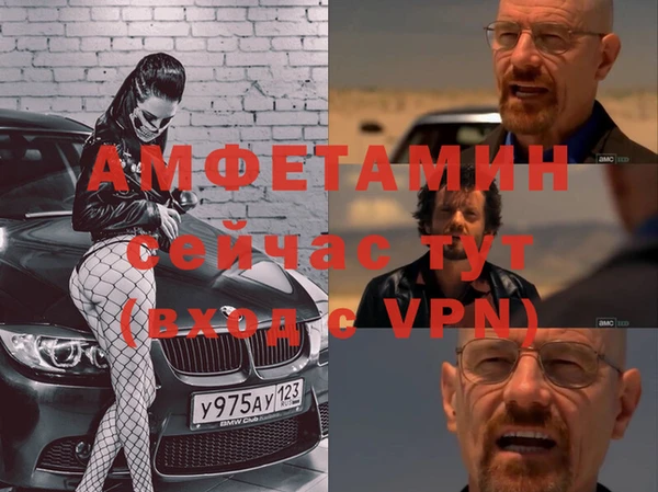 шишки Гусиноозёрск