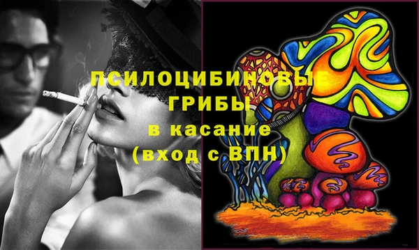 шишки Гусиноозёрск