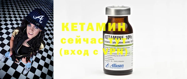 шишки Гусиноозёрск