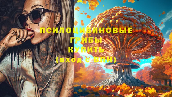 шишки Гусиноозёрск
