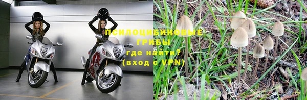 спиды Нея