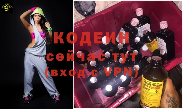 шишки Гусиноозёрск
