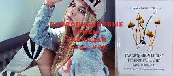 спиды Нея