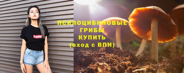 бошки Нефтекумск
