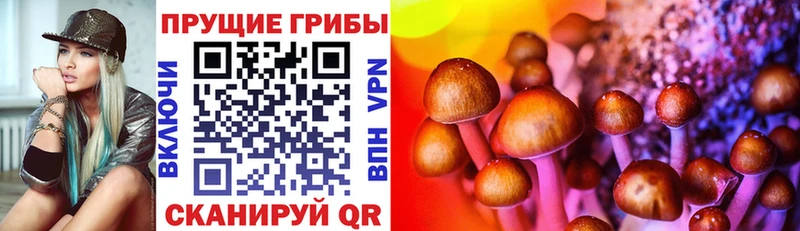 Галлюциногенные грибы мицелий  закладка  Сольвычегодск 